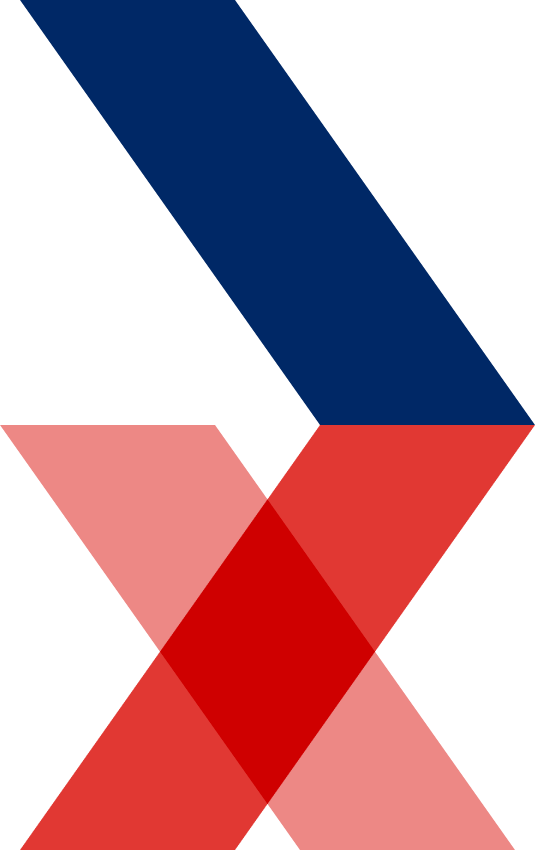 Bidyut Hero Section Left Strip Graphic